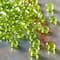 12 Pack: Glass Seed Beads by Bead Landing®, 6/0